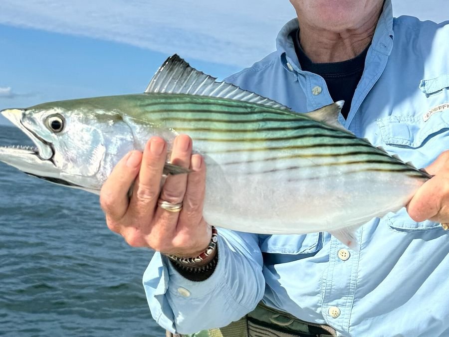Thon bonito tenu à la main au-dessus de l'océan
